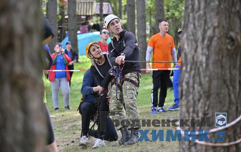 345667879778 (14).jpg